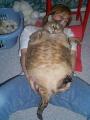 kater.jpg