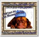 0ad3d50ff73e92ea1fcf9d712b2963fa.jpg