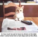 c_newspaper.jpg