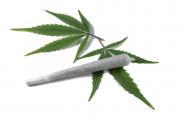 marihuana.jpg
