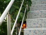 PICT4986.JPG