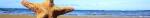 skin_fetch.jpg 2.jpg