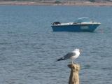 IMG_1782.JPG