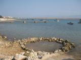 IMG_1798.JPG