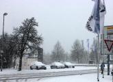 IMG_9239.JPG