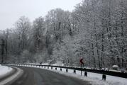 IMG_9246.JPG