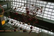 20 12 11_0018.JPG