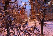 20 12 11_0062.JPG