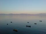 Blick auf Pejesac.jpg