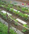 DSCN3246.jpg