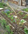 DSCN3248.jpg