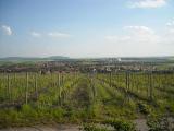 DSCN3428.jpg