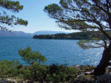 bucht_5.gif