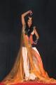 P1080114 mya.jpg