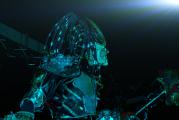 P1080066 predator.jpg