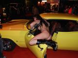 DSCN7896.JPG