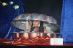 IMG_2897 IMG_2897