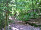 Foto0072.jpg