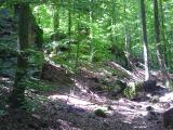 Foto0073.jpg