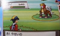 20090713_corocoro09.jpg