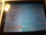 DSC00190.JPG