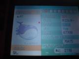 DSC00320.JPG