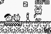 Pokemon Race.gif