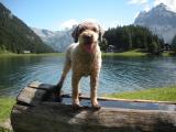 Arnisee Uri 006.JPG