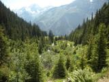 Arnisee Uri 010.JPG