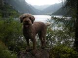 Kl�ntalersee 010.JPG