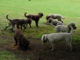DSC00015.JPG