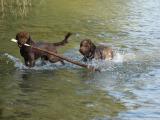 DSC00112.JPG