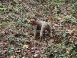 DSC00066.JPG