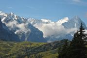 Lagotto Wanderung Grindelwald 062.JPG