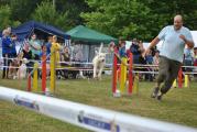 Agility ASMV Allschwil 041.JPG