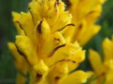 blog-123255-n4_SfDkVzFx.jpg