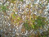 IMG_20260417_142119_1.jpg