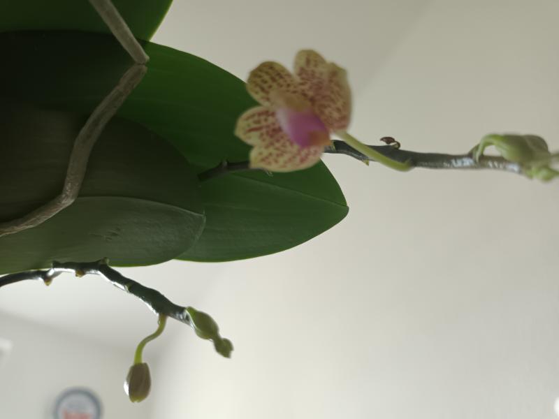 20260603_130844.jpg