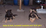 Anni & Aslan 10.7.11.jpg