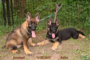 Annabell & Aslan 2.jpg
