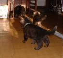 14.01.2012-9a.jpg