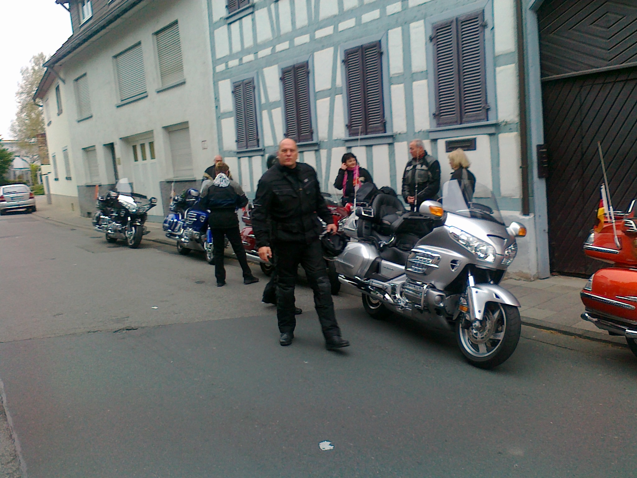 Goldwing Fuchs Uslar