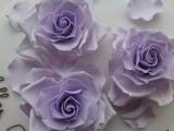 DSC01037.JPG