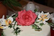 IMG_7458.JPG