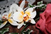 IMG_7484.JPG