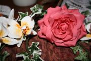IMG_7489.JPG