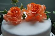 torte-501.jpg