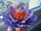 100_0964w.gif