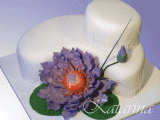 100_0970w.gif