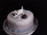 8. Nici�s Geburtstag 21.06.2010.jpg